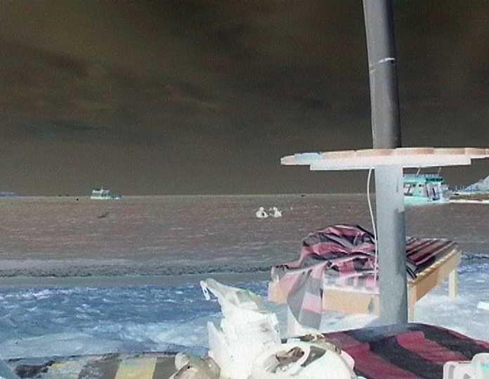 beachscenenegative