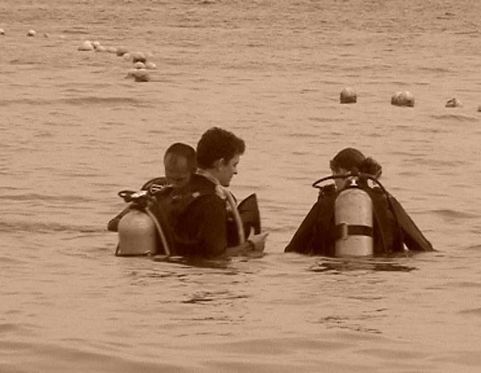 divingbrown