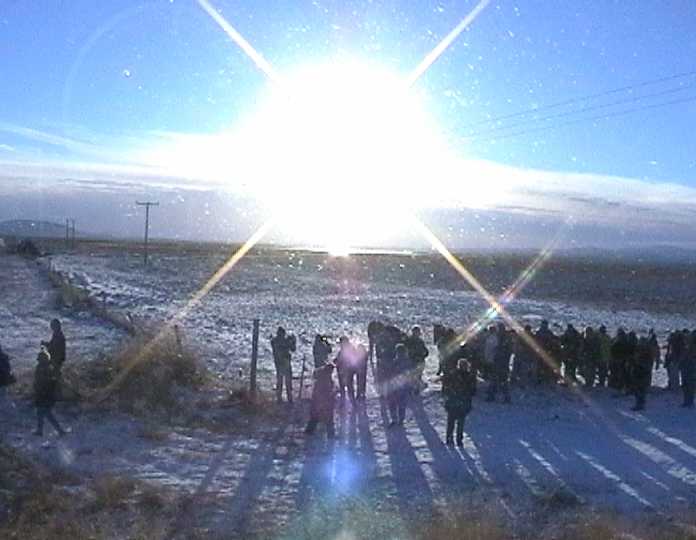 horsefieldbrightsun
