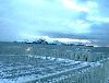 Click here to see the picture (ferryview.jpg)