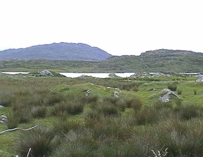 landscape3