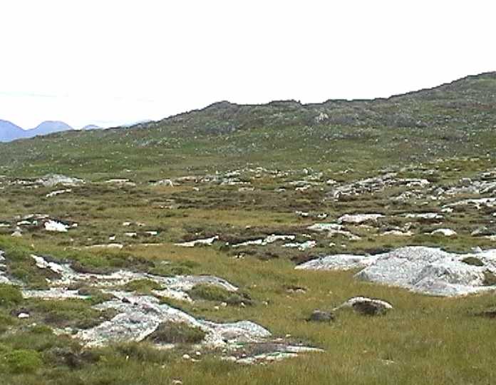 landscape4