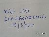 Click here to see the picture (PICT4978.JPG)
