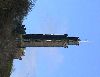 Click here to see the picture (edin2.jpg)
