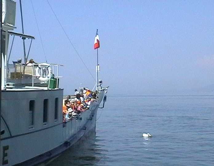 boatside