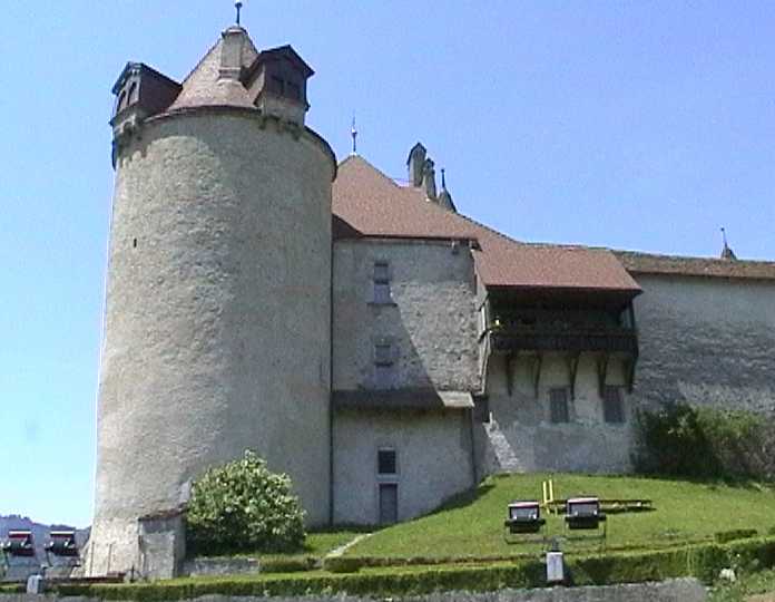gruyere
