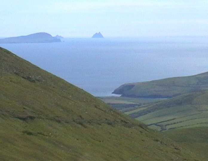 hillsea