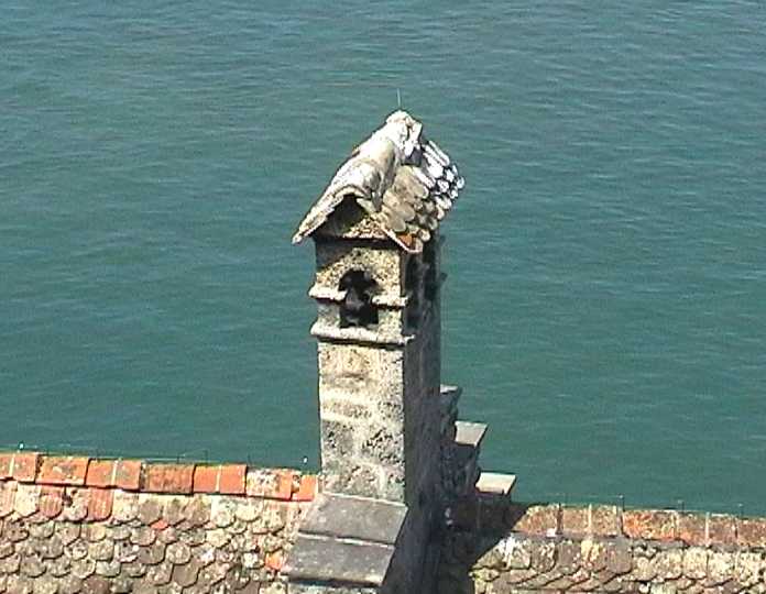 chillon5